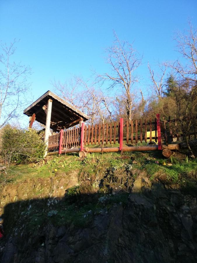 Gite Du Durrenbach Lautenbach Extérieur photo